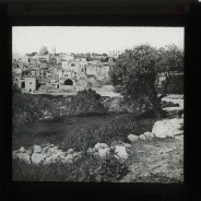 Böhl glass slide 62.1/2106